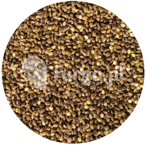 Proso zielone