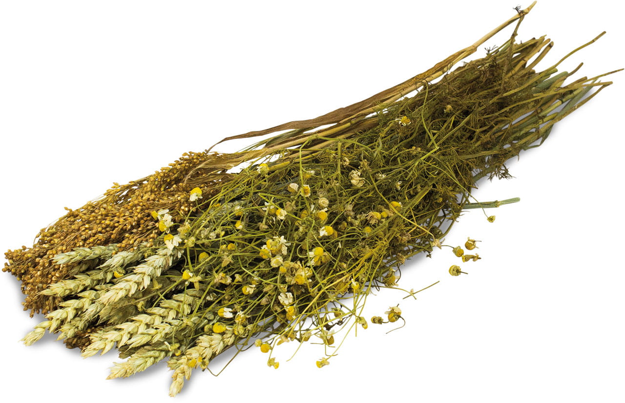 JR FARM Zbiór rumianku 80g